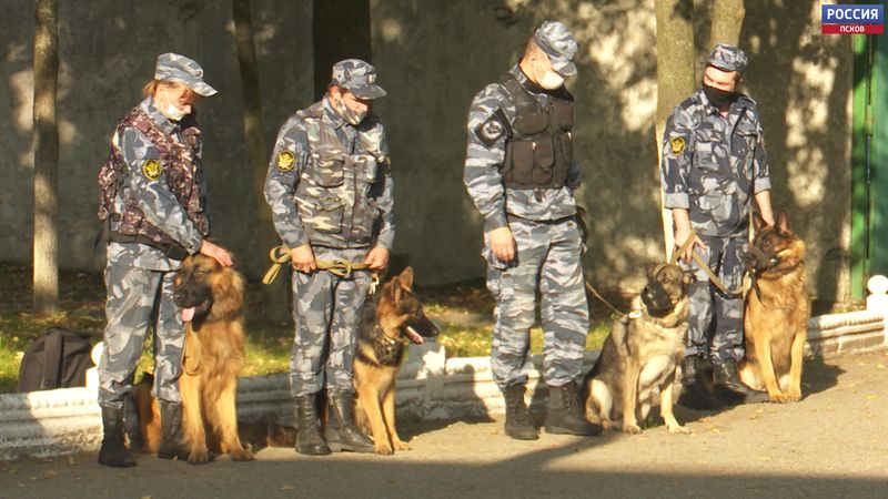 Четвероногие напарники. Кинологи состязались в выучке служебных собак