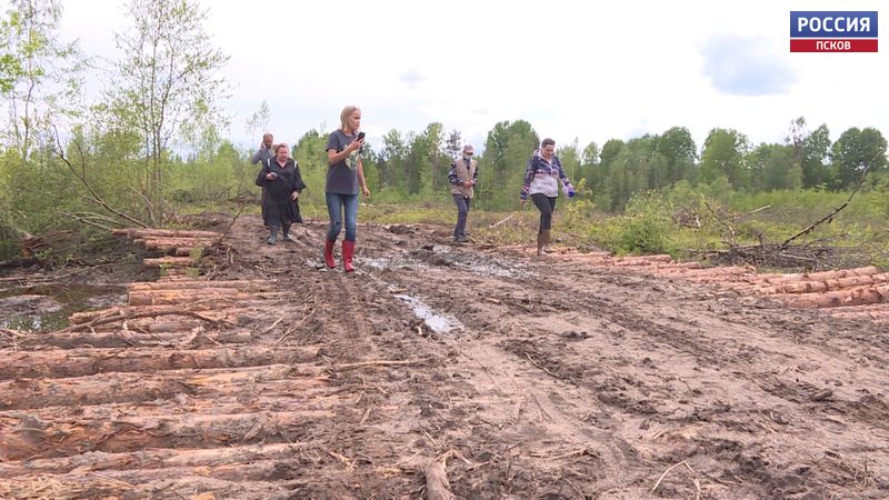 Дачники в нескольких деревнях Псковского района остались отрезанными от мира из-за бездорожья