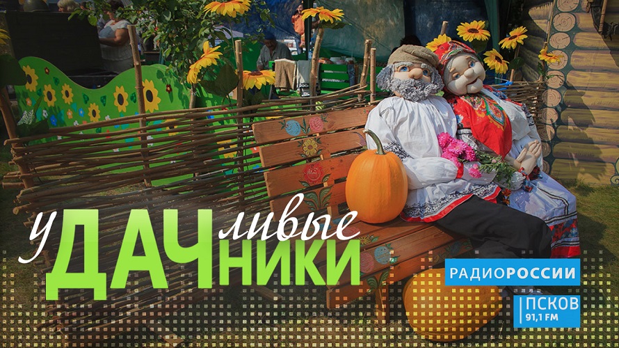 Удачливые дачники. Выпуск 26.08.20