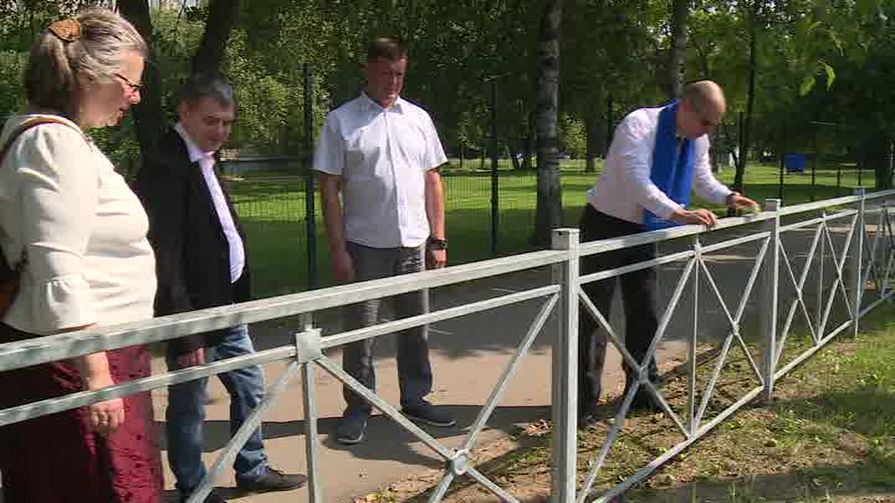 Около 11-й школы в Пскове спилят старое дерево, чтобы обезопасить детей 