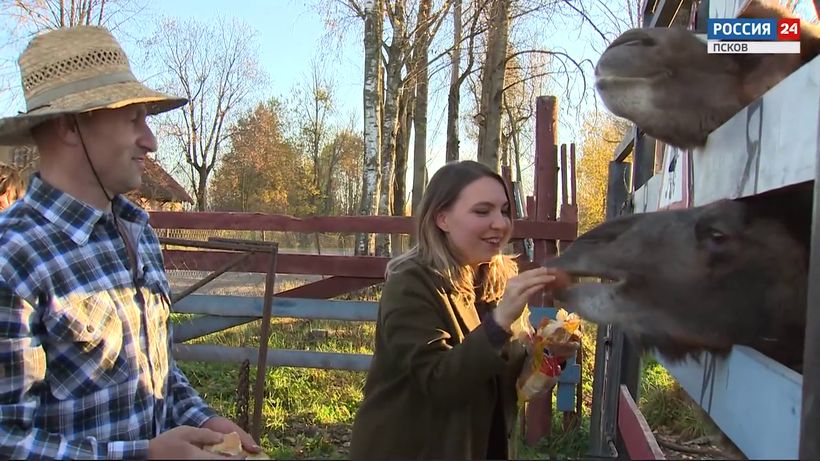 Во многих районах Псковской области можно найти частные зоопарки