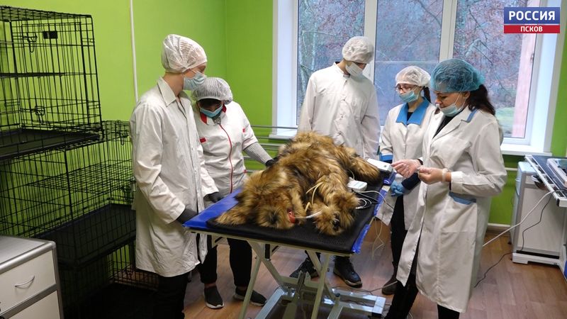  По федеральному гранту в Идрицком филиале агроколледжа обновили оборудование