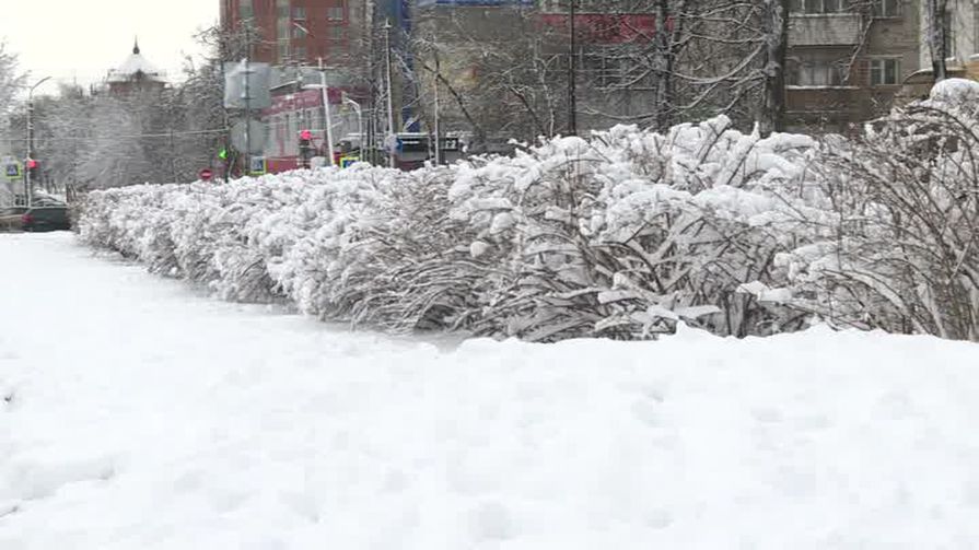 Энергетики готовятся к ухудшению погоды на Псковщине