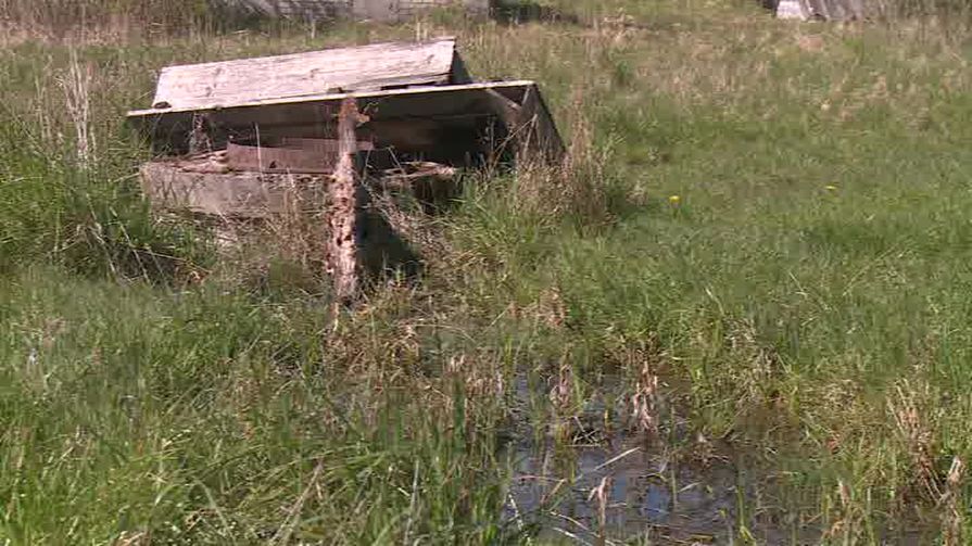 Каждая капля на вес золота – в деревне Воронцово проблемы с водой