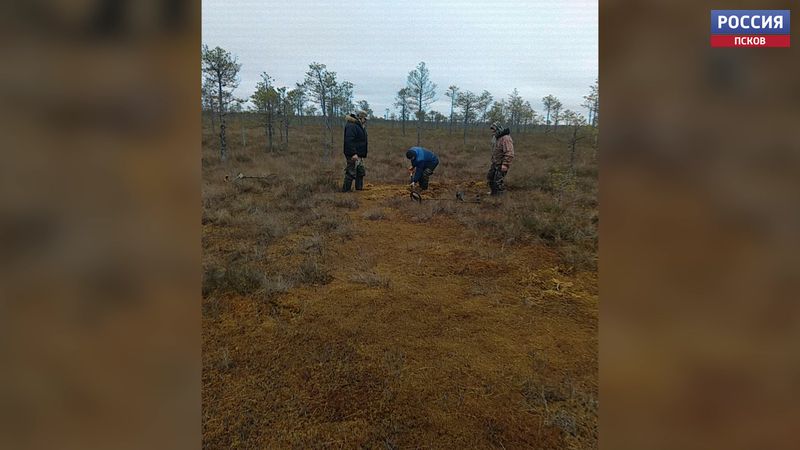 Поисковики обнаружили в Пыталовском районе обломки советского самолёта