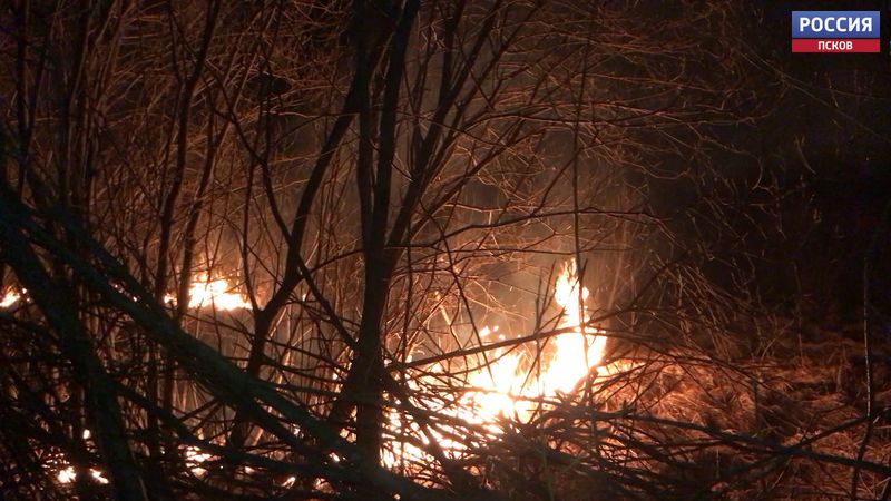 Несмотря на предупреждения, в Псковской области продолжаются палы травы