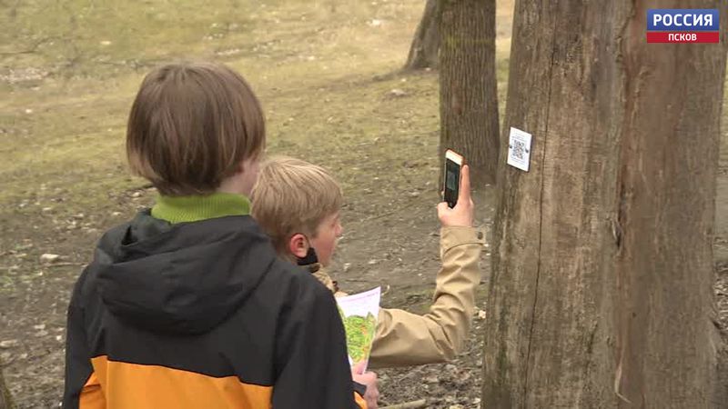 35 контрольных точек с QR-кодами установили в Финском парке в Пскове