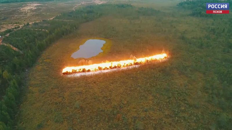 На полигоне «Струги Красные» прошли учения инженерно-сапёрных подразделений ВДВ