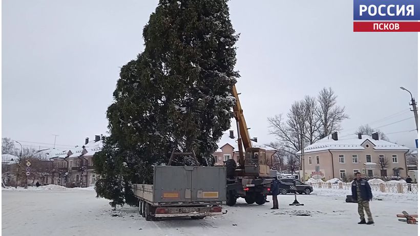 15-метровую новогоднюю елку установили в Дно