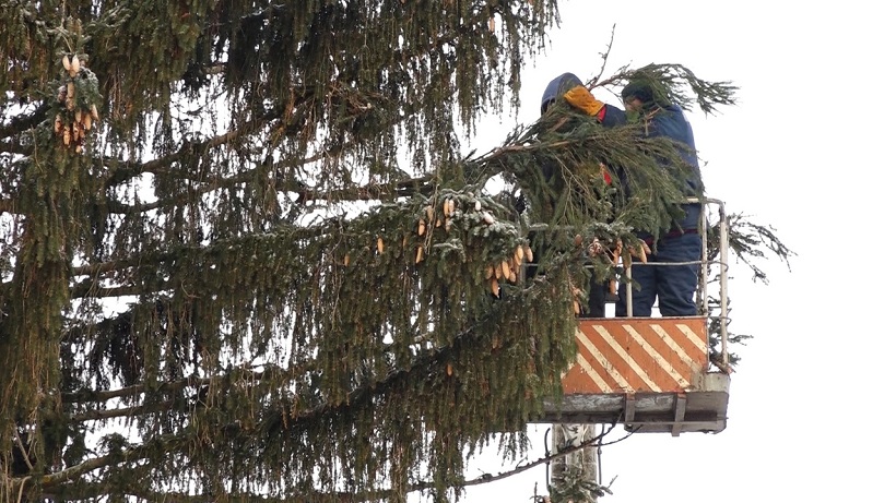 На центральной площади Великих Лук установили главную городскую ёлку