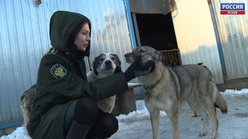 Псковские таможенники помогли приюту «Шанс» 