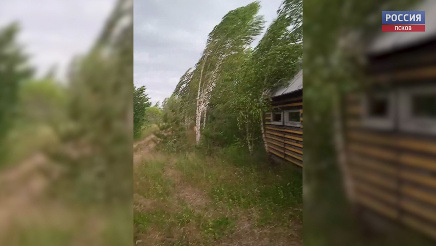 В Себежском районе из-за непогоды без электричества осталось более 300 населенных пунктов