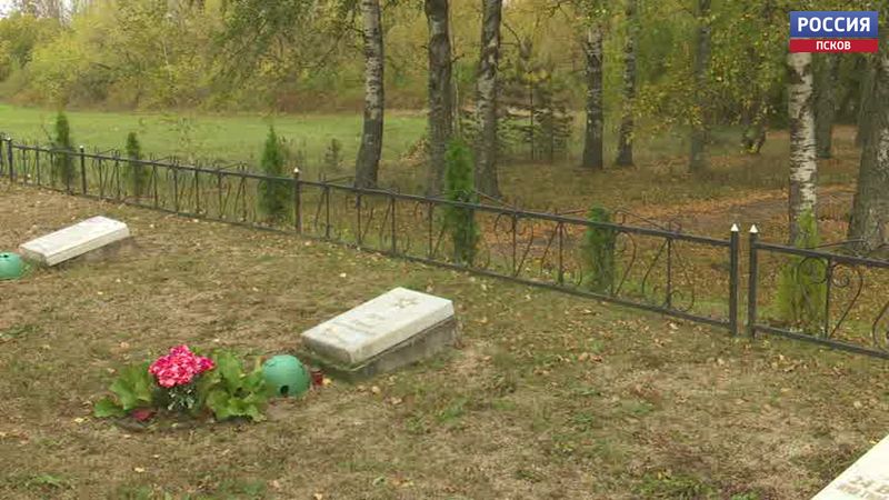 51-летний мужчина отправится отбывать наказание за кражу туй с братского захоронения в Жидиловом бору