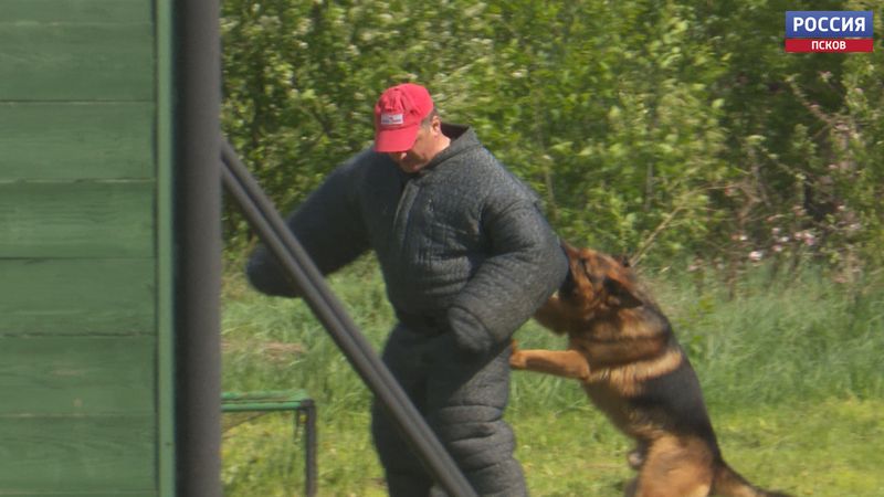 Лучших кинологов-пограничников определили в Печорском районе