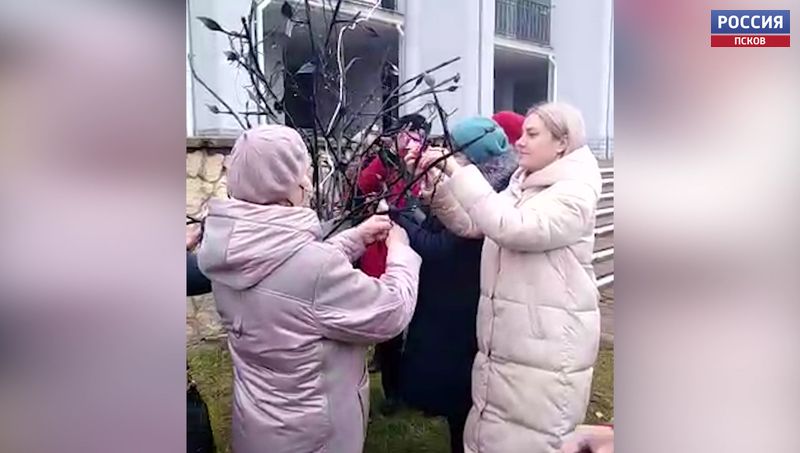В Псковской области проходит акция #МнеНЕфиолетово! в поддержку недоношенных детей