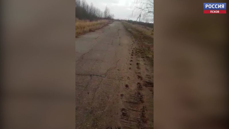 Жители Славковской волости жалуются на разбитую лесовозами дорогу в ближайшие деревни