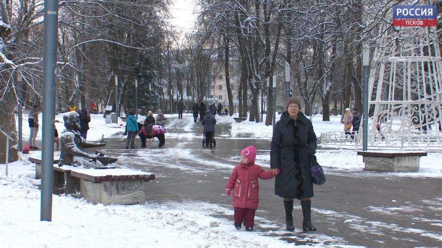 Более 20 единиц техники убирали снег в Пскове в ночь на воскресенье