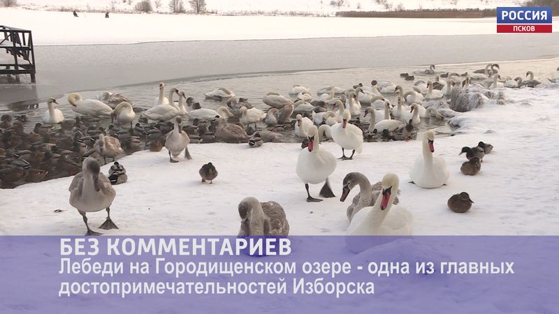 Без комментариев. Эфир 19.01.2021