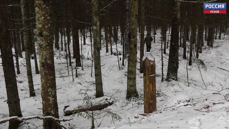 Пограничники пресекли случаи нелегальной миграции через российско-белорусскую границу