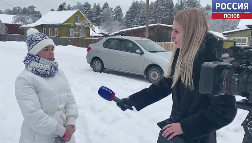 Трёх собак в деревне Чернево застрелил неизвестный. Возбуждено уголовное дело