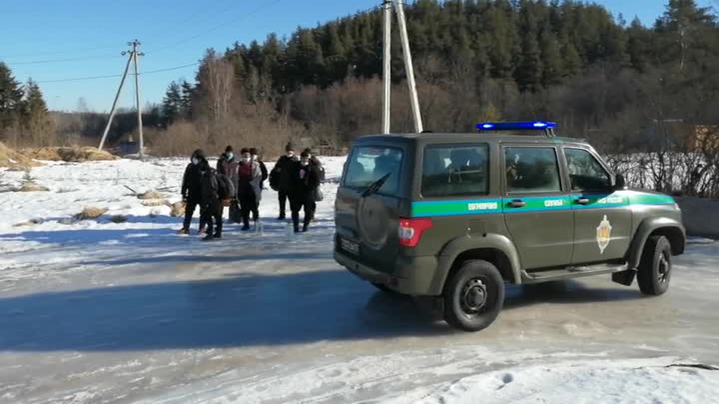 В поисках лучшей жизни жители Карибских островов пытались незаконно пересечь границы Псковщины