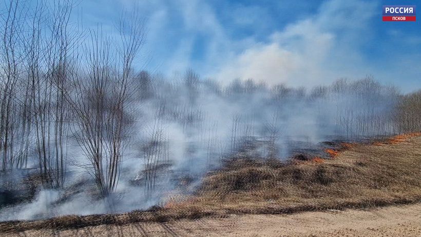 Псковичей призывают не жечь траву и мусор, приводя в порядок свои дачные участки