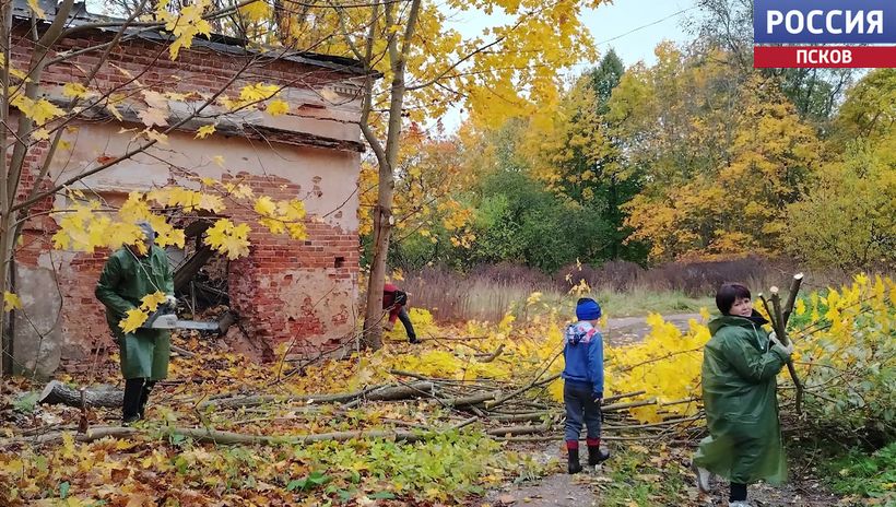 Территорию вокруг усадьбы Строгановых в Волышово привели в порядок