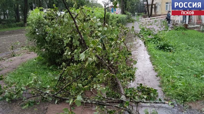 Ливни и грозы сохранятся в Псковской области на выходных