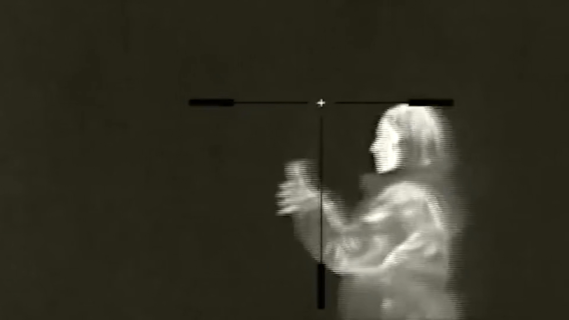 Великолучанка заключена под стражу за попытку диверсии