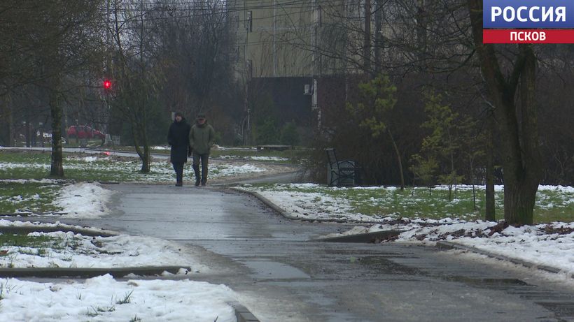 Теплая и сырая погода вернулась в Псковскую область
