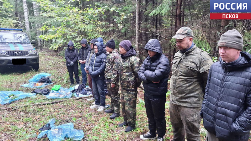 Восемь нелегальных мигрантов привлекли к уголовной ответственности в Псковской области 