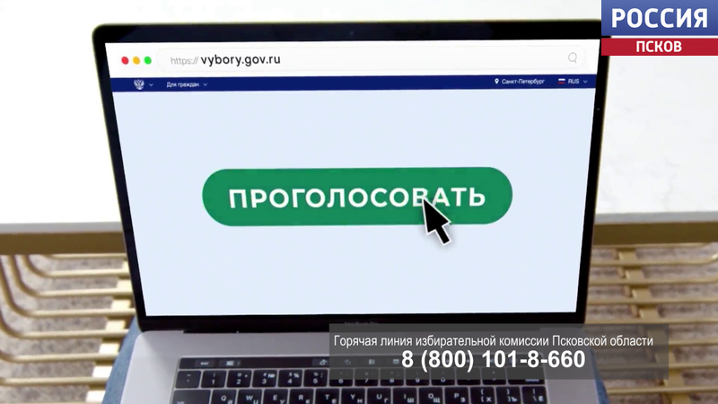Подайте заявку онлайн: в Псковской области стартовала регистрация на электронное голосование