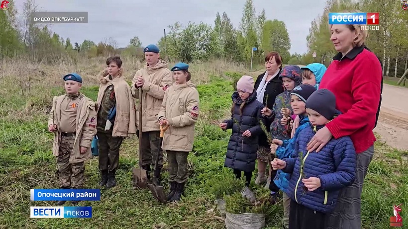 В деревне Булахи Опочецкого района в честь 80-летия Победы высадили аллею Славы