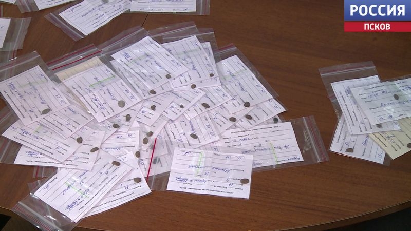 После реставрации в Псковский музей вернулись находки из Варлаамовского раскопа