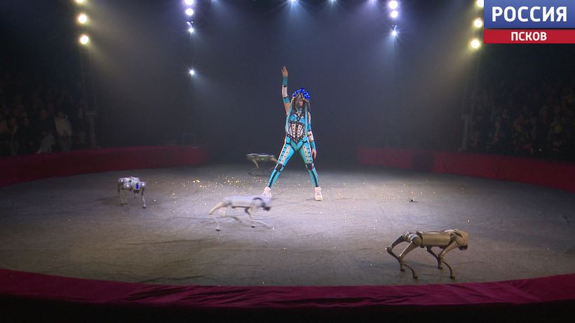 На арене львы, верблюды и робособаки. В Пскове продолжаются гастроли цирка "Крокус"