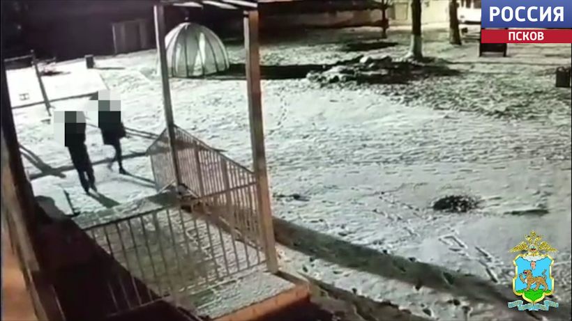 В Плюссе задержали похитителей ноутбуков из библиотеки