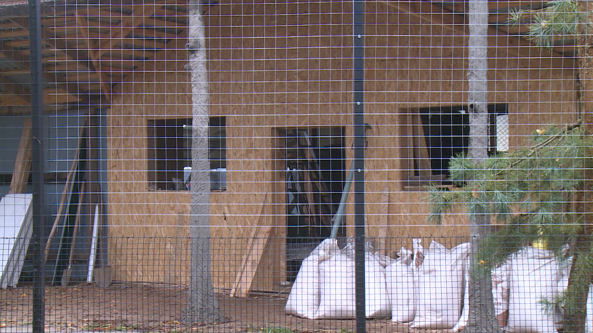 Утеплить домики сеном. Расскажем, как в Пушкиногорском экопарке готовятся к зиме