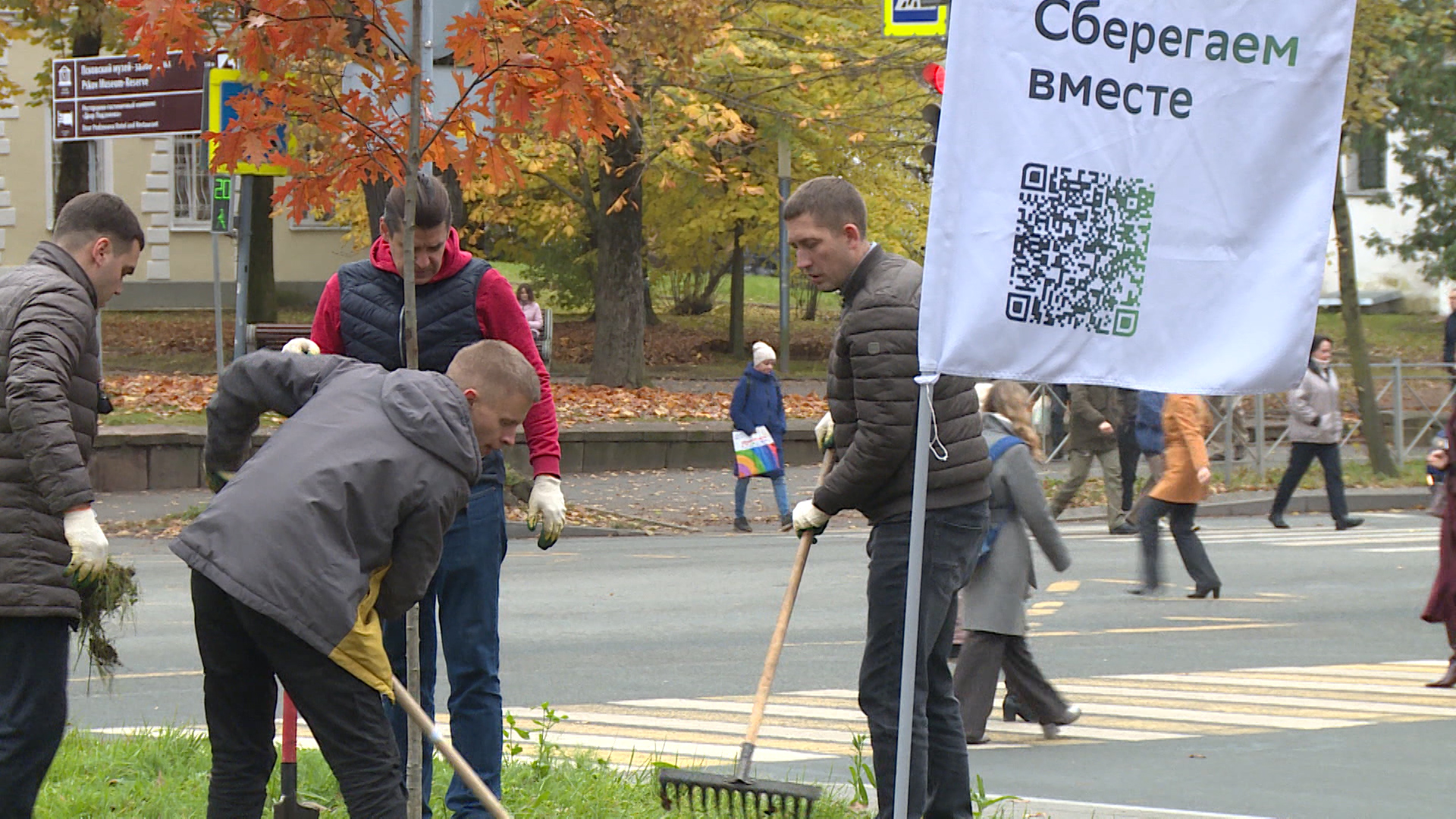 Молодые деревья высадили сегодня в Пскове сотрудники Сбера и волонтеры. Новости Пскова и Псковской области. Вести-Псков "Сберегаем вместе": Сбер и волонтеры озеленили улицу Некрасова