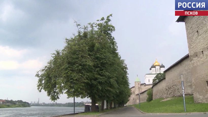На этой неделе в регион придут первые заморозки, обещают синоптики