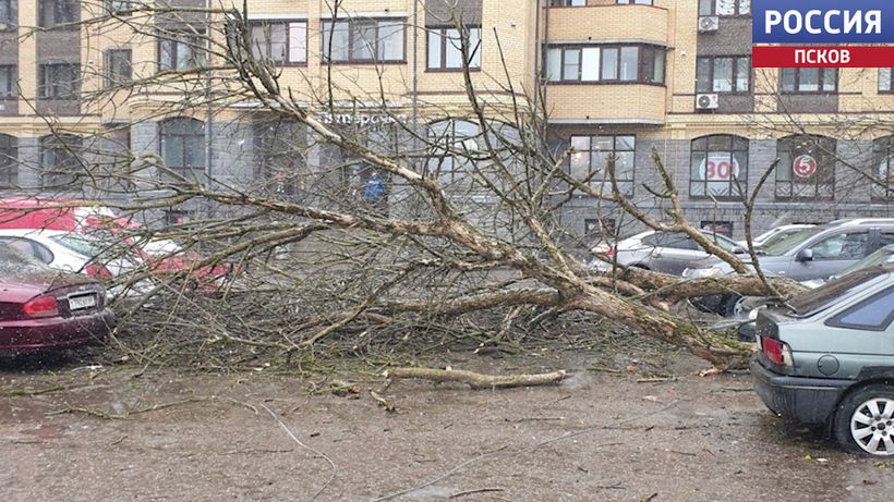 Шквалистый ветер вырвал лоджию и оборвал провода: в Псковской области продолжают ликвидировать последствия непогоды