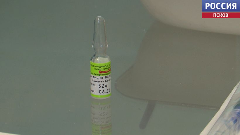 Вакцина от клещевого энцефалита поступила в Псковскую область: привиться можно в поликлинике по месту жительства