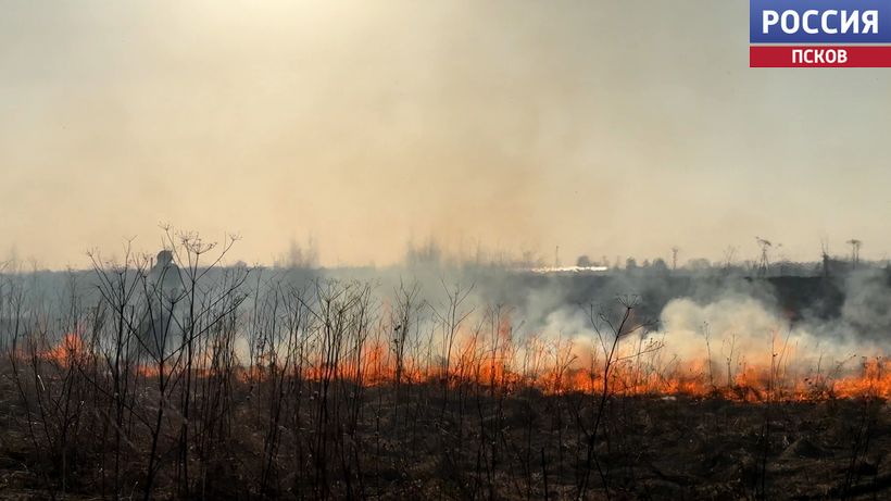 Официальный запрет и штрафы не пугают. В регионе продолжает гореть сухая трава