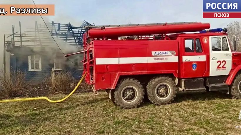 Семь ландшафтных и четыре техногенных пожара потушили в Псковской области за сутки