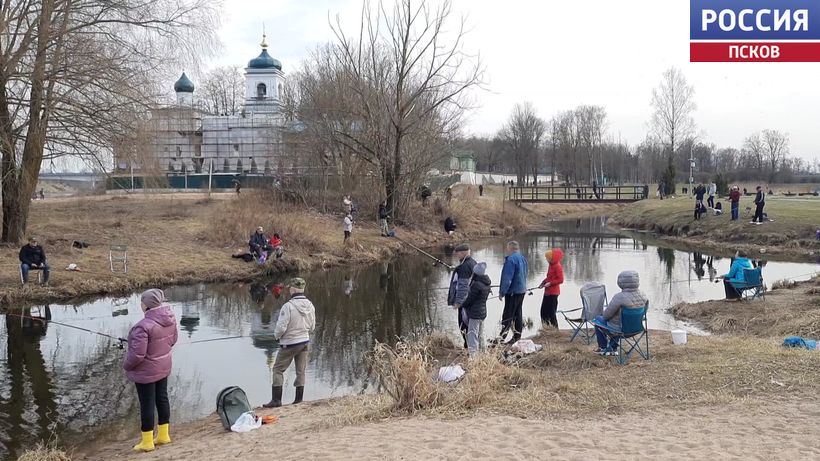 Сотни псковичей вышли на берег Мирожки: весенняя рыбалка на уклейку в самом разгаре