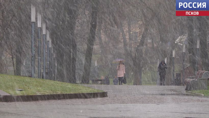 Мокрый снег с дождем накроет Псковскую область этой ночью