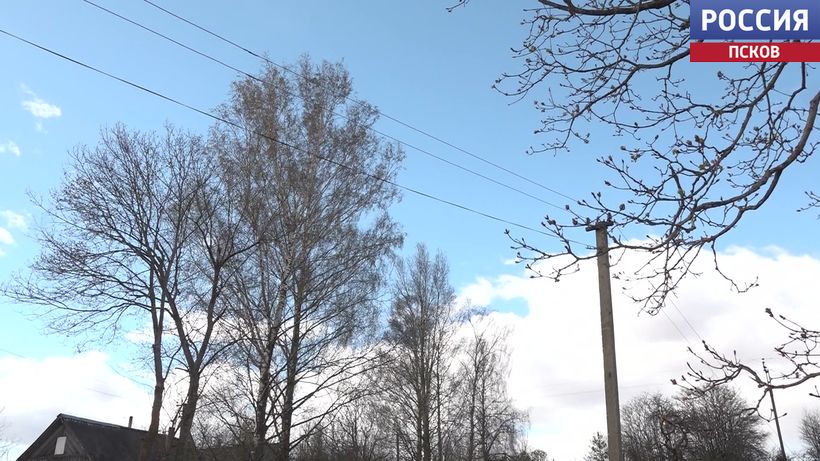 В Псковской области восстановлено электроснабжение 95% отключенных потребителей