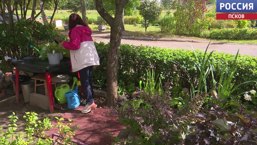 В Псковской области стартовал конкурс на лучшее территориальное общественное самоуправление