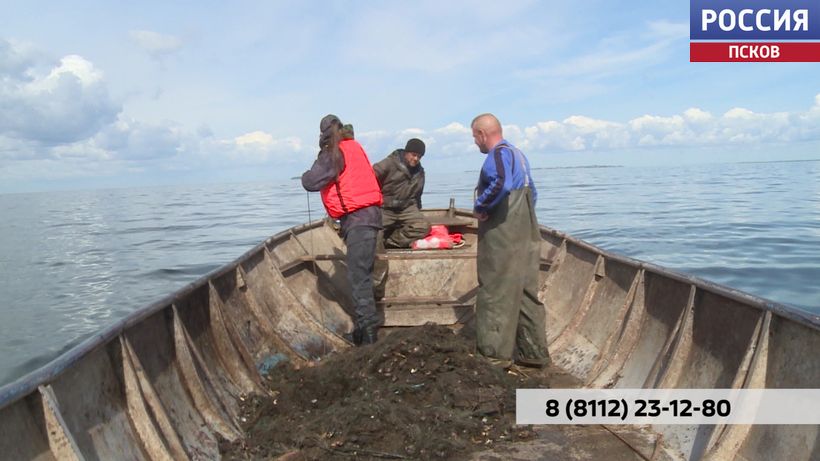 Щуку нельзя до 10 мая, судака — до 15 июня: в Псковской области действуют новые сроки нерестового запрета