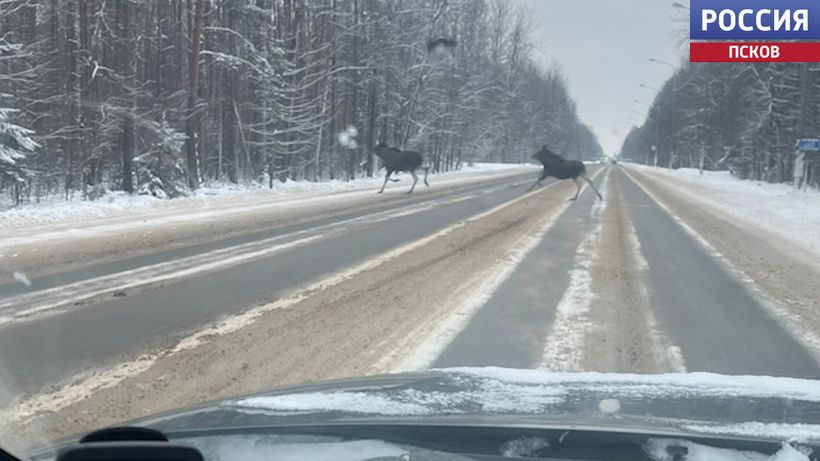 Уличное освещение и счета за отопление. Корреспондент "Вестей" выяснила, что еще чаще всего обсуждают жители региона в соцсетях