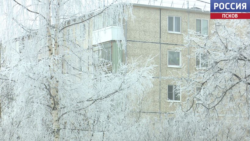 Снег, морозы, а затем весна: в конце февраля псковичей ждет переменчивая погода